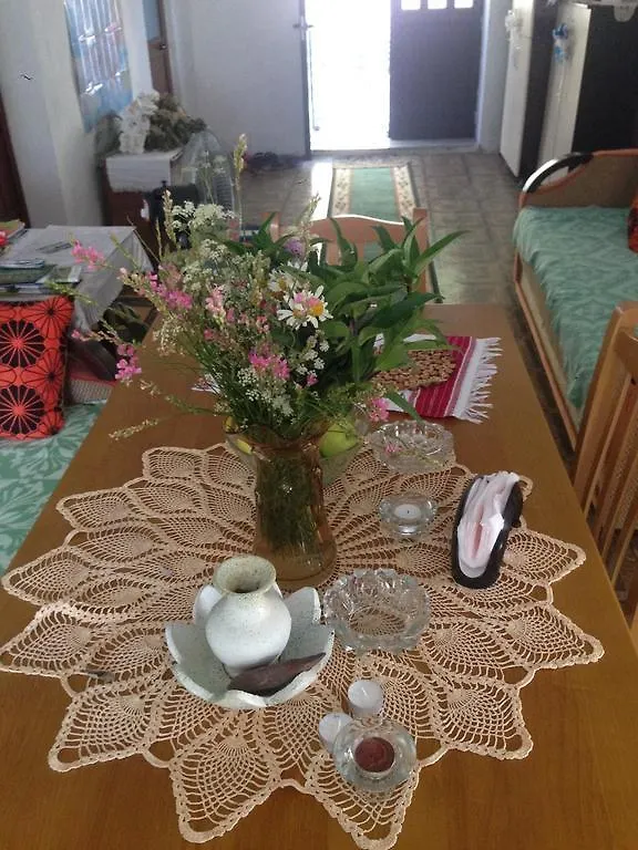 Eco Garten Guest House Shkodër 0*,  Albanien