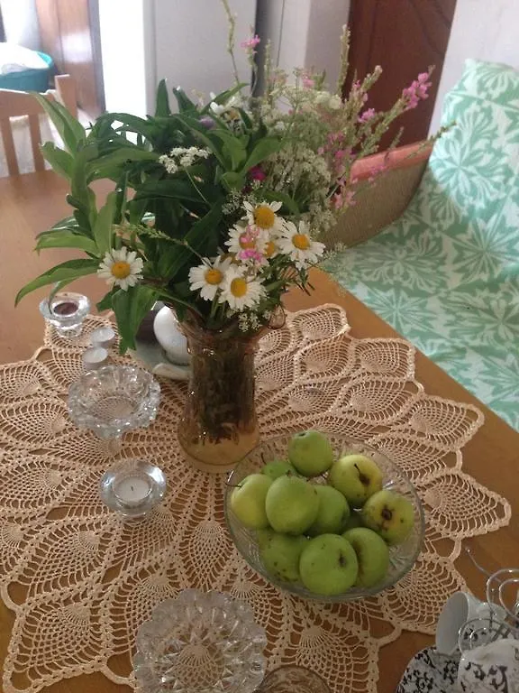 Eco Garten Guest House Shkodër