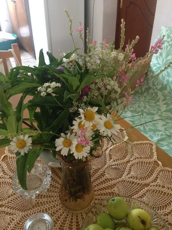 Eco Garten Guest House Shkodër Albanien